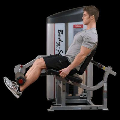 Leg Extension