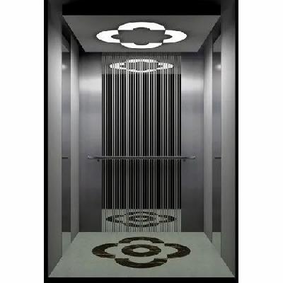 SS 304 residential elevator