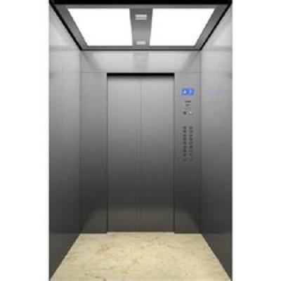 Mild Steel Powder Coated Elevator Door