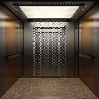 Stainless Steel Passenger Elevator