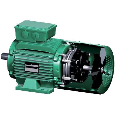 AC Brake Motor