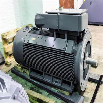 AC Squirrel Cage Induction Motor