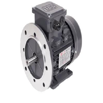 Flange Motors