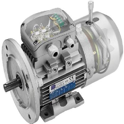 Rotomotive Electric AC Motor