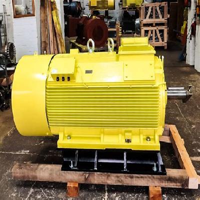 Three Phase Squirrel Cage Induction Motor