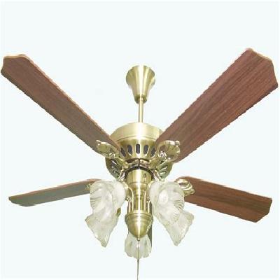 Ceiling Fan