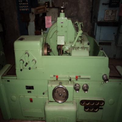 Worm Grinder