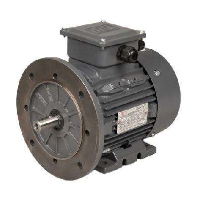 Cast Iron AC Motor