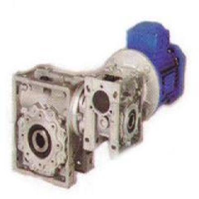 Double Worm Gear Motor