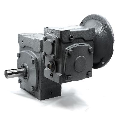 Double Worm Reducer