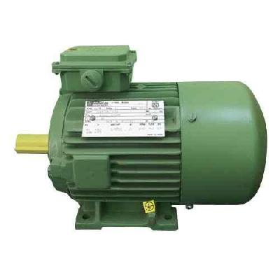 Hindustan Electric Motor