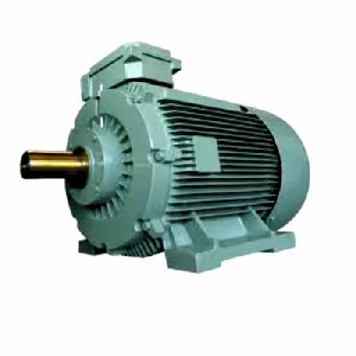 Electric Motor 