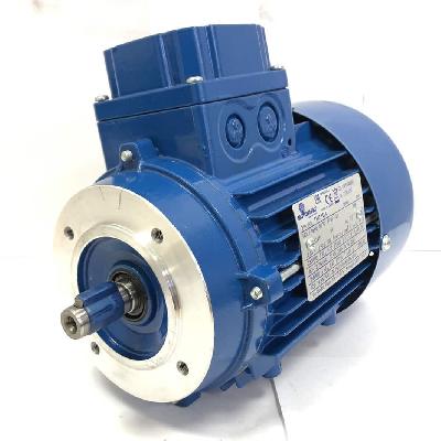 Electric Motor