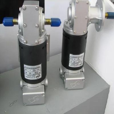 Pmdc Warm Geared Motors