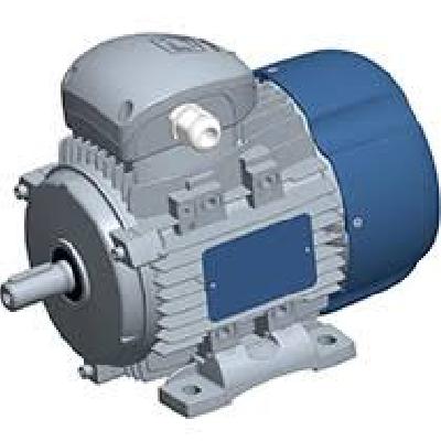 Electric Motors