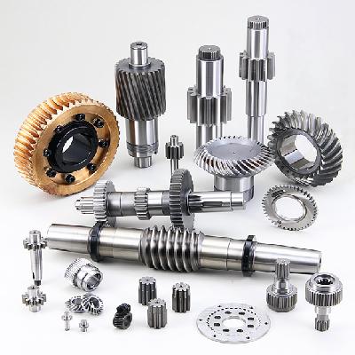 Screw Gear