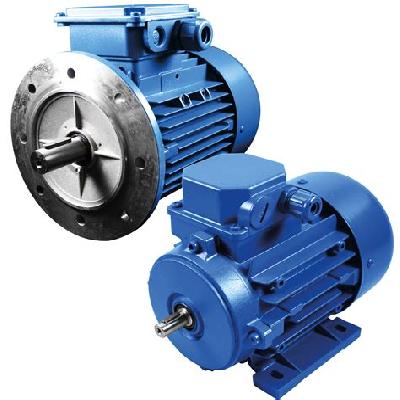 Three Phase Motors