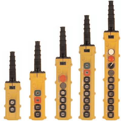 Pendent Push Button Station