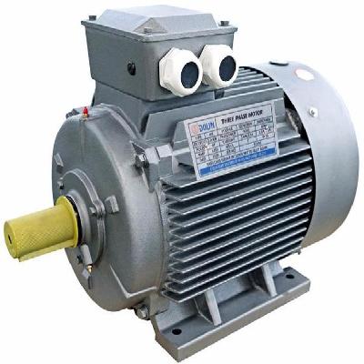 Motor Electric Three Phase