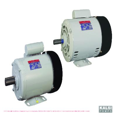 Squirrel Cage Motors