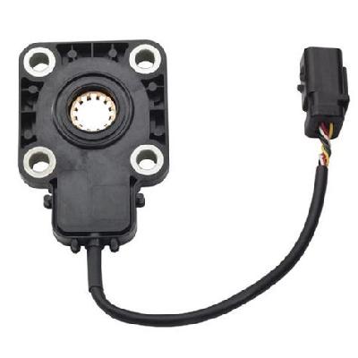 Angular Position Sensor