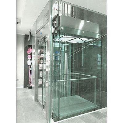 6 Passenger Glass Elevator