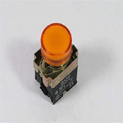 RAAS Series Pilot Lamp