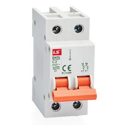 Two Pole Miniature Circuit Breaker