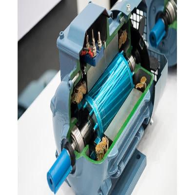 3 Phase Induction Motors
