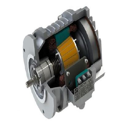 Brake Motors