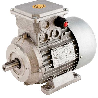 Flameproof Motors