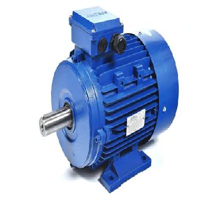 Hindustan 15KW 20HP-1440 RPM 4P Foot Mount Motors