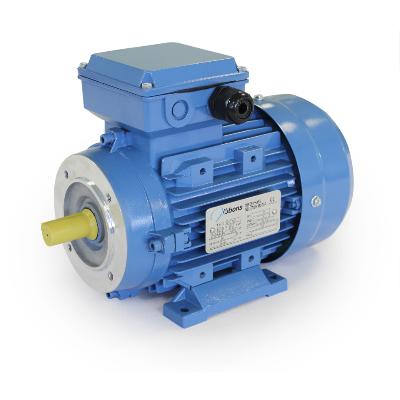 Flange Mounted Motors