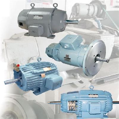 Hoist Duty Motor
