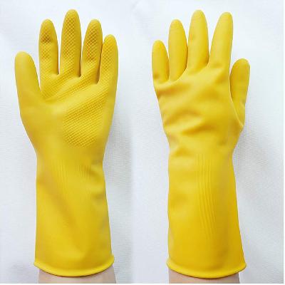 Rubber Hand Gloves