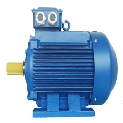 Ac Squirrel Cage Induction Motor