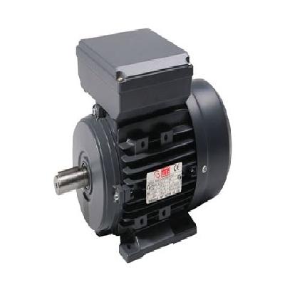 Induction Electric Motor