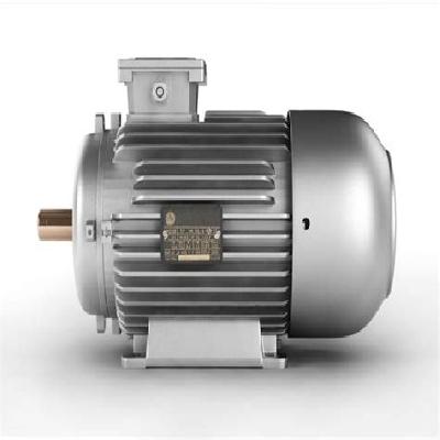 Old Used Induction motor