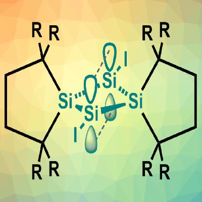 Silicon Compound