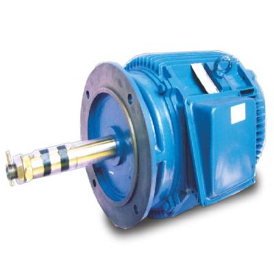 Cooling Tower Motor