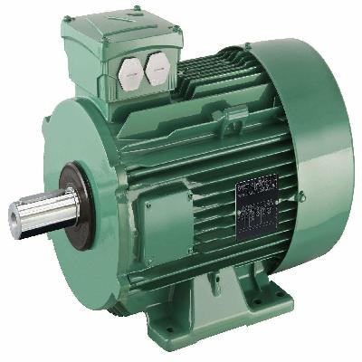 Electric Motor