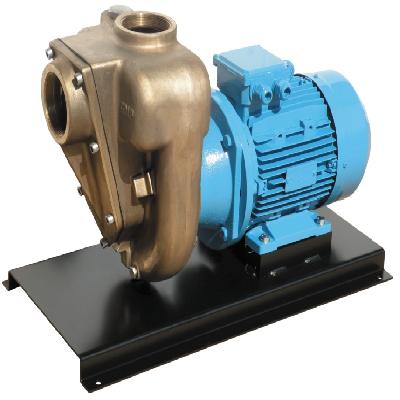 Shakti CRP Series 3-60 m Self Priming Pumps