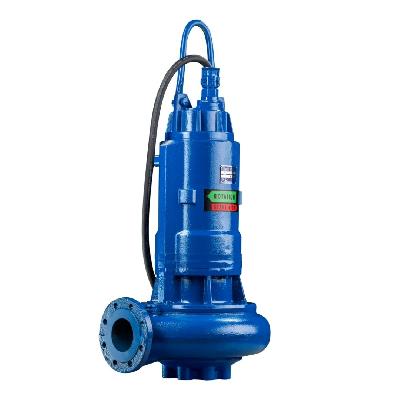 Shakti SVX Series 15 m Sewage Pump
