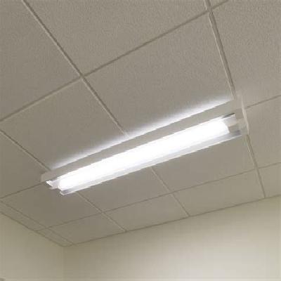 Celling CFL Light