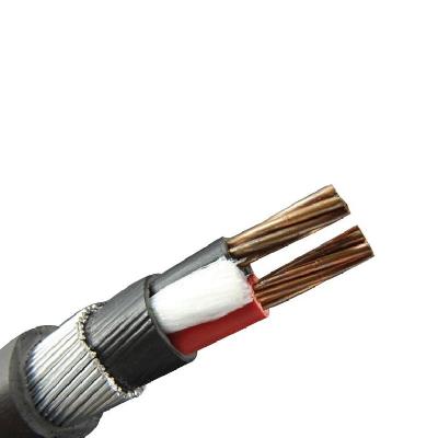 Copper Armoured Cables Polycab  make