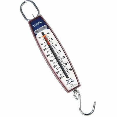 Hanging Scale