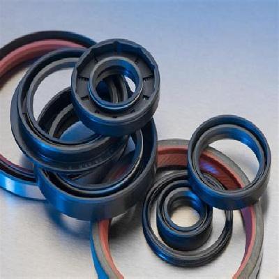 Oil Seals 