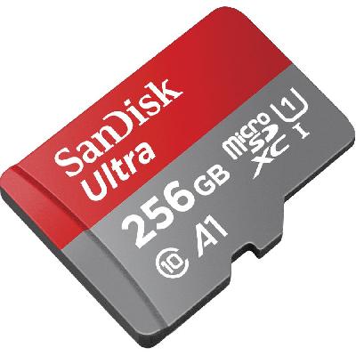 SD Card 256 MB 512 MB 1 GB 2 GB T1000 T4000 T8000 2014 2019 2020 Version Supported