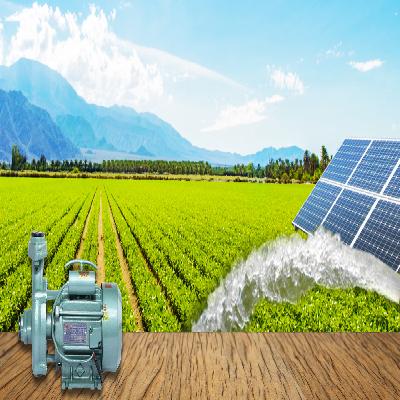 5Hp 415V 3 Phase Solar Monoblock Pump