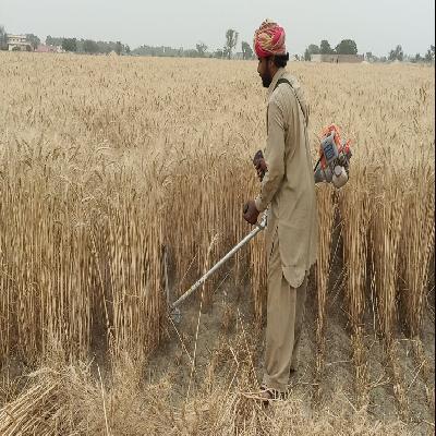 Wheat Cutter Brush Cutter